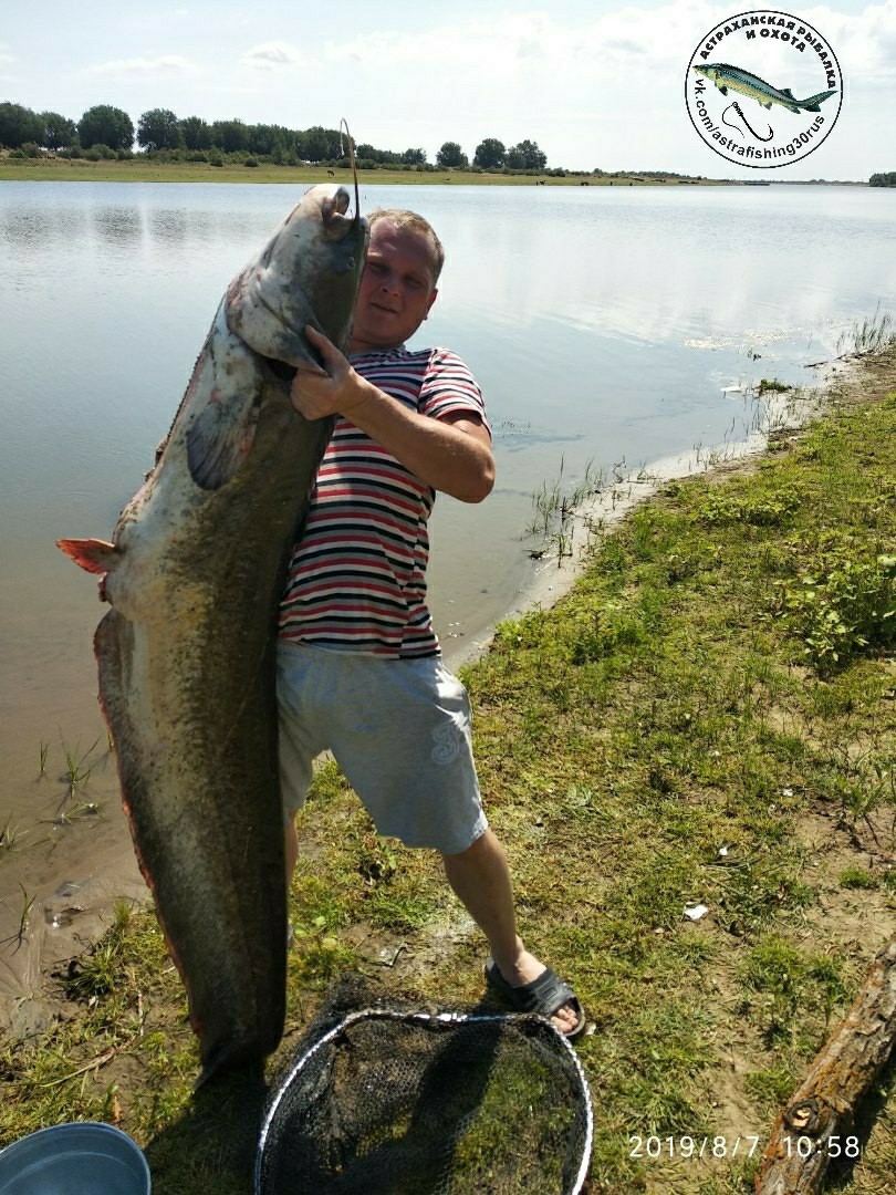 Рыбалка в астрахани когда лучше. Астраханские сомы гиганты. Рыбалка на сома в Астрахани. Самая большая рыба в Астрахани. Ахтуба сом.